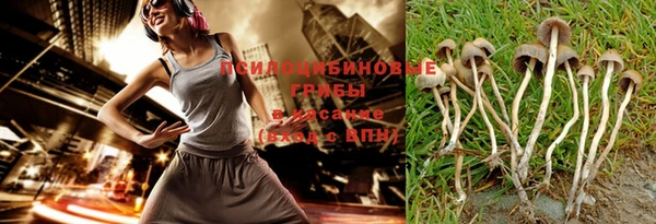 дживик Куйбышев