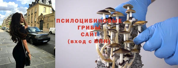 Альфа ПВП Белокуриха