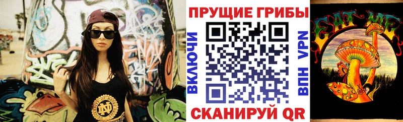 где продают   Верея  Псилоцибиновые грибы Magic Shrooms 